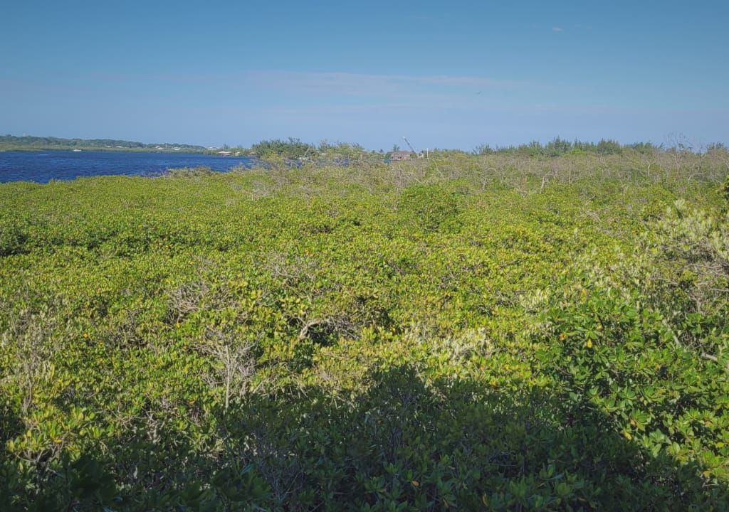Listing ID: URE0377, Lower Lagoon Utila, Bay Islands, HN - Unique Opportunity in rare setting, Photo #