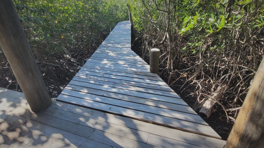 Listing ID: URE0377, Lower Lagoon Utila, Bay Islands, HN - Unique Opportunity in rare setting, Photo #