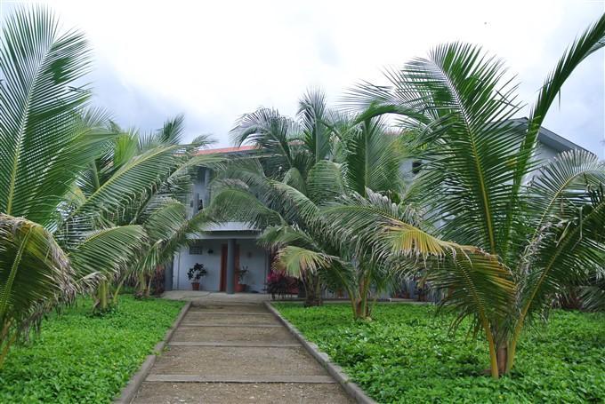 Listing ID: URE0388, Red Cliff Utila, Bay Islands, HN - La Casa Del Sol Naciente, Photo #