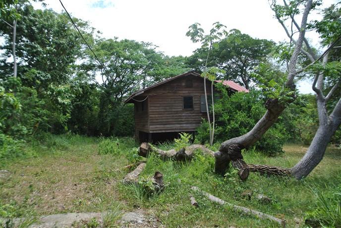 Listing ID: URE0394, Lumes, near Red Ridge Stables Utila, Bay Islands, HN - Lush Garden Home, Photo #