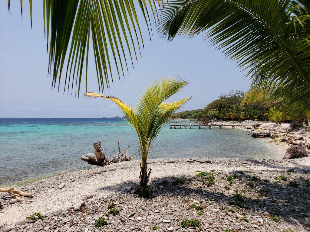 Listing ID: URE0419, Jack Neil Bight Utila, Bay Islands, HN - Los Arcos and Acreage at Jack Neil , Photo #