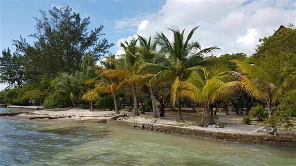 Listing ID: URE0425, Jonathan Point Utila, Bay Islands, HN - Sea-esta at Jonathan Point, Photo #