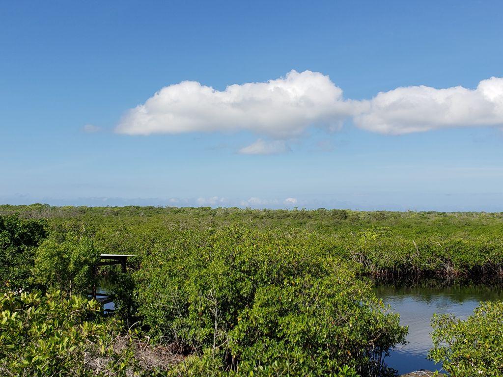 Listing ID: URE0433, Little Bight Utila, Bay Islands, HN - The Lagoon House, Photo #