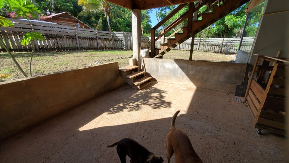 Listing ID: URE0441, Bambu Utila, Bay Islands, HN - Garden Home Near Town, Photo #