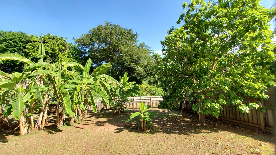 Listing ID: URE0441, Bambu Utila, Bay Islands, HN - Garden Home Near Town, Photo #