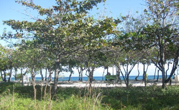 0.93 Acre Oceanview Lot at Blue Bayou