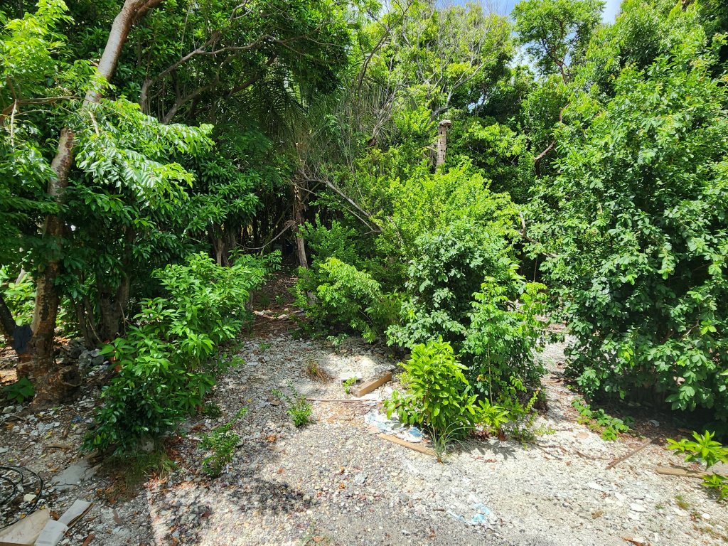 Listing ID: URE0471, Big Rock Utila, Bay Islands, HN - Big Rock, Photo #