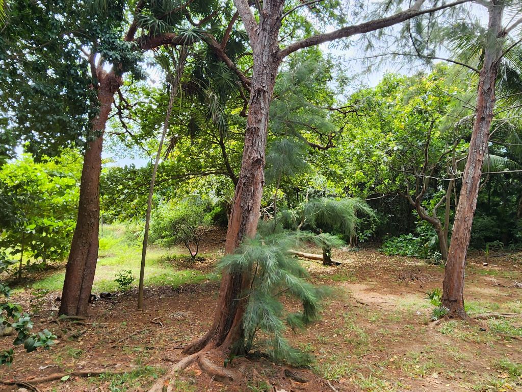 Listing ID: URE0472, Swanix Bay Utila, Bay Islands, HN - Tropical Paradise Retreat with Panoramic Sea Views, Photo #