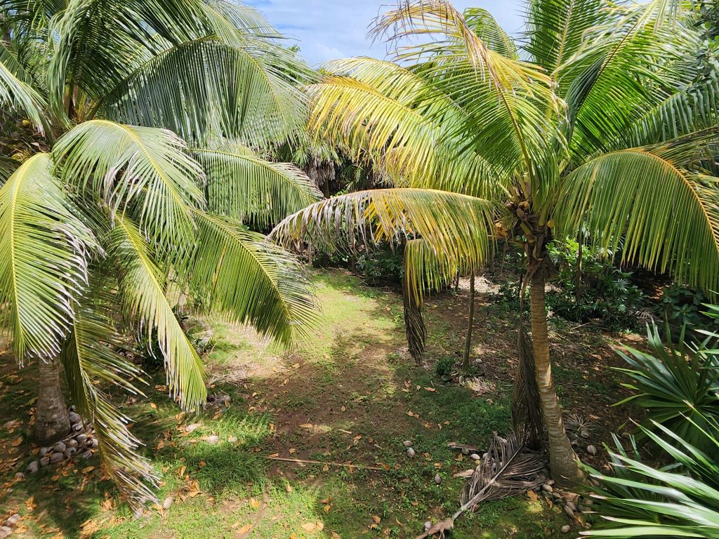 Listing ID: URE0472, Swanix Bay Utila, Bay Islands, HN - Tropical Paradise Retreat with Panoramic Sea Views, Photo #