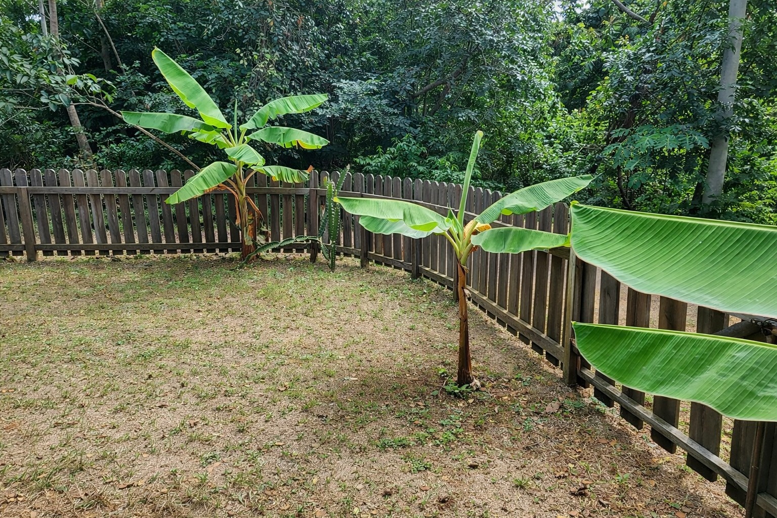 Listing ID: URE0486, Off airport road Utila, Bay Islands, HN - Blue Gem off the airport road, Photo #