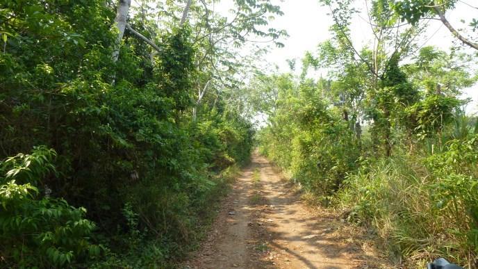 Acreage Sold - Utila, Bay Islands - Listing ID: URE0505 - Photo