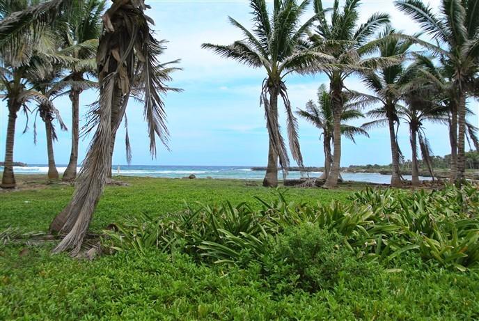 Lot Sold - Utila, Bay Islands - Listing ID: URE0509 - Photo