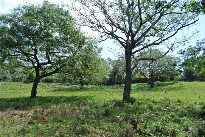 Lot Sold - Utila, Bay Islands - Listing ID: URE0510 - Photo