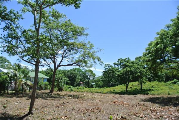 Listing ID: URE0510, Pumpkin Hill Road Utila, Bay Islands, HN - Pumpkin Hill Road Home Site, Photo #