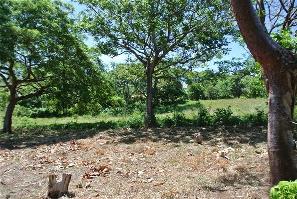 Listing ID: URE0510, Pumpkin Hill Road Utila, Bay Islands, HN - Pumpkin Hill Road Home Site, Photo #