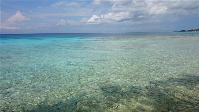 Listing ID: URE0511, Jack Neil Beach Utila, Bay Islands, HN - Jack Neil Beach Front, Photo #