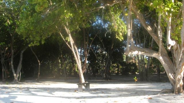 Listing ID: URE0520, Pine Point Utila, Bay Islands, HN - Private Tropical Beach Front, Photo #