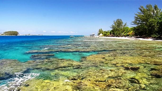 Listing ID: URE0522, Mariner's Landing Utila, Bay Islands, HN - Beautiful Beach Front At Mariners Landing, Photo #