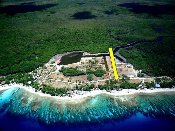 Listing ID: URE0525, Coral Beach Village - Little Bight Utila, Bay Islands, HN - Ocean Front CBV Financing Available, Photo #