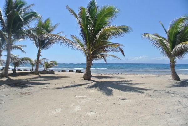 Listing ID: URE0526, Rocky Point Estates Trade Wind Utila, Bay Islands, HN - Tradewind Ocean Front Homesite, Photo #