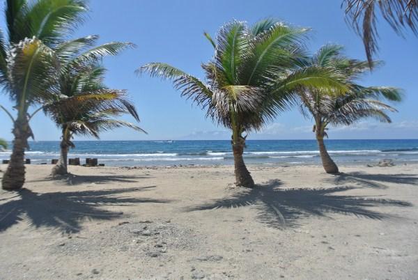 Listing ID: URE0526, Rocky Point Estates Trade Wind Utila, Bay Islands, HN - Tradewind Ocean Front Homesite, Photo #