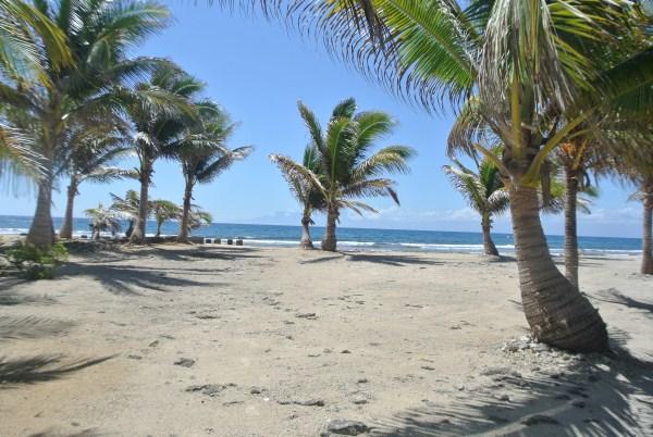 Listing ID: URE0526, Rocky Point Estates Trade Wind Utila, Bay Islands, HN - Tradewind Ocean Front Homesite, Photo #