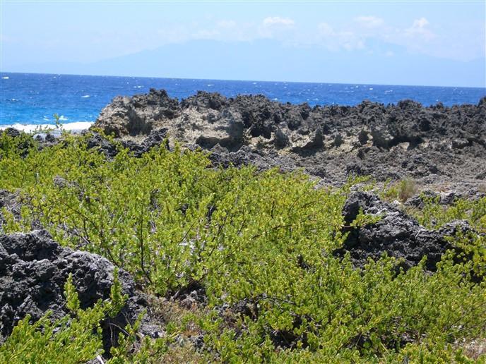 Lot Sold - Utila, Bay Islands - Listing ID: URE0527 - Photo