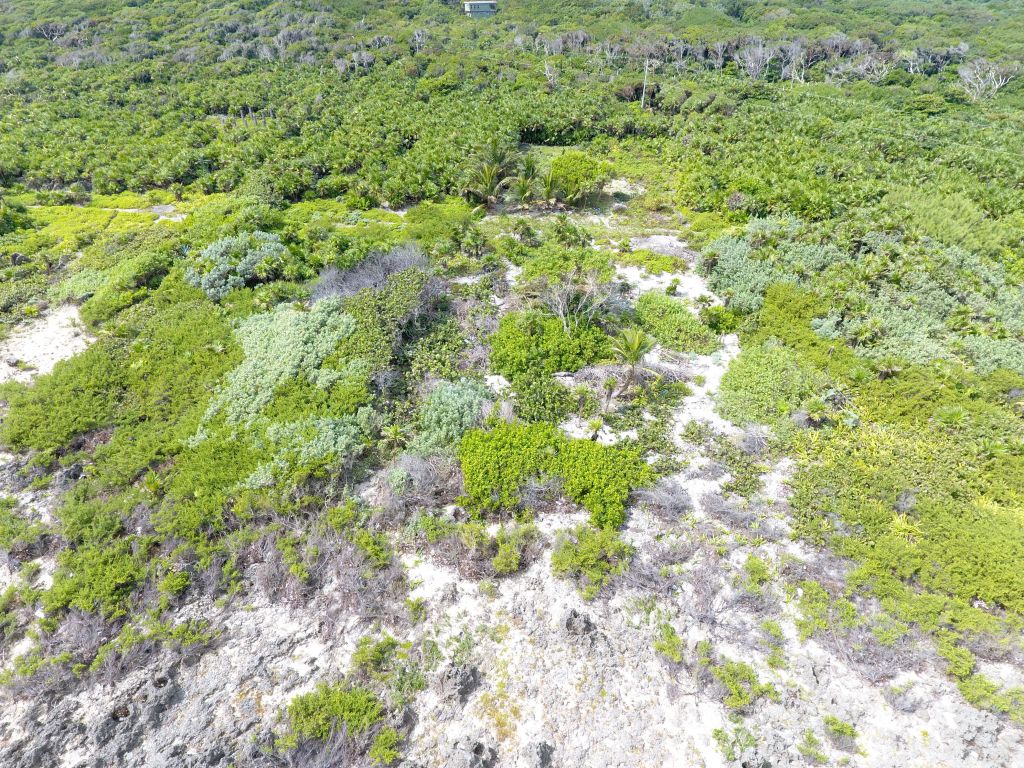 Listing ID: URE0527, Cliff Club Utila, Bay Islands, HN - Cliff Club Oceanfront, Photo #