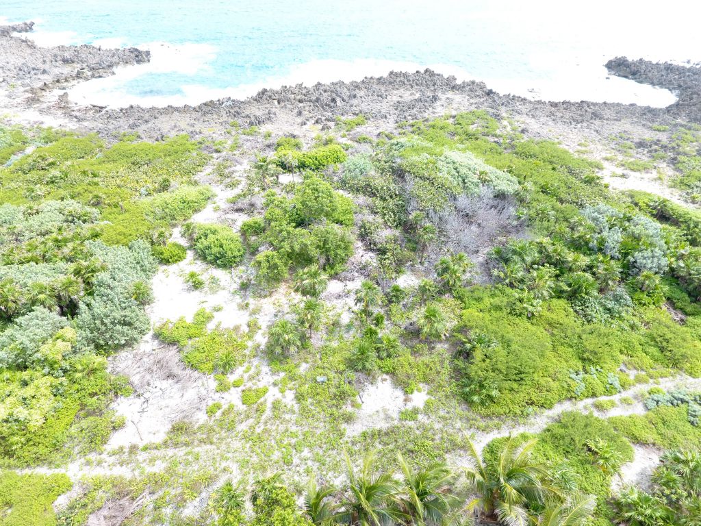 Listing ID: URE0527, Cliff Club Utila, Bay Islands, HN - Cliff Club Oceanfront, Photo #