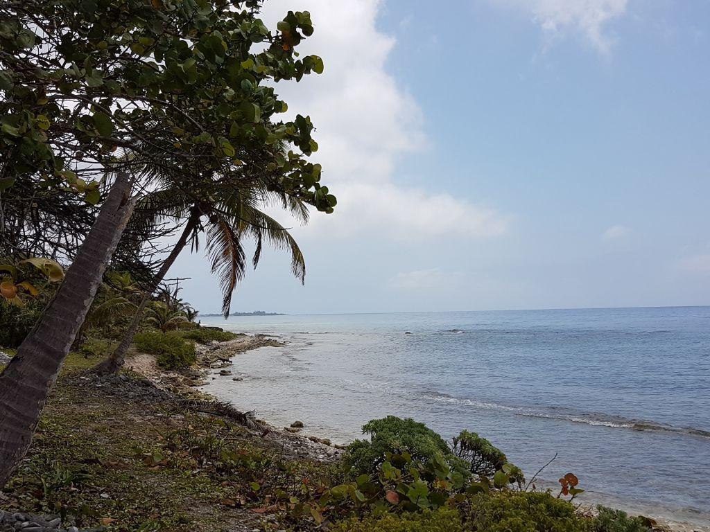 Listing ID: URE0537, Pretty Bush - South Shore Utila, Bay Islands, HN - 85 + Feet Of Beachfront On The South Shore, Photo #