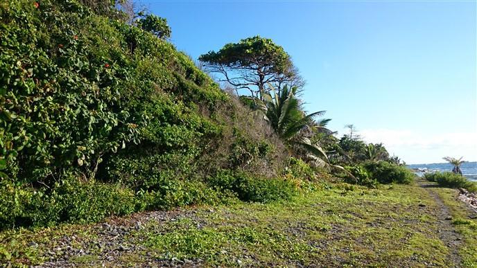 Listing ID: URE0540, Little Bight - South Shore Utila, Bay Islands, HN - Over 106 Feet Of Beach Front At Little Bight, Photo #