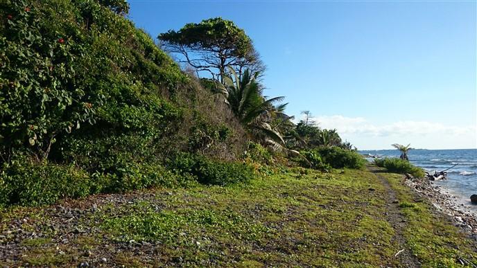 Listing ID: URE0540, Little Bight - South Shore Utila, Bay Islands, HN - Over 106 Feet Of Beach Front At Little Bight, Photo #