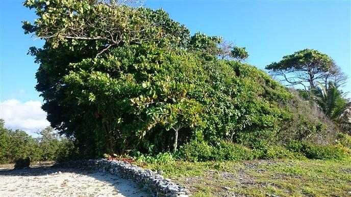 Listing ID: URE0540, Little Bight - South Shore Utila, Bay Islands, HN - Over 106 Feet Of Beach Front At Little Bight, Photo #