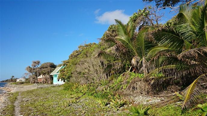 Listing ID: URE0540, Little Bight - South Shore Utila, Bay Islands, HN - Over 106 Feet Of Beach Front At Little Bight, Photo #