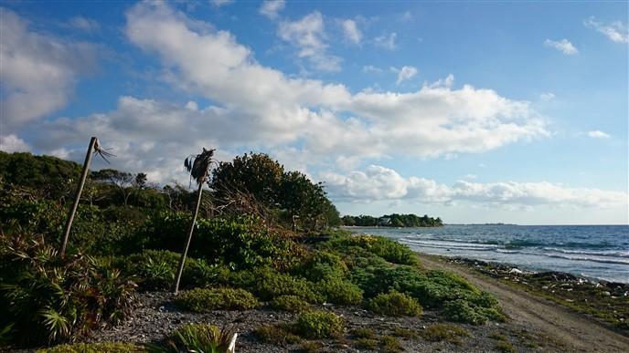 Listing ID: URE0542, Little Bight - South Shore Utila, Bay Islands, HN - Beach Frontage Available At Little Bight, Photo #
