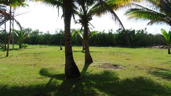 Lot Sold - Utila, Bay Islands - Listing ID: URE0544 - Photo