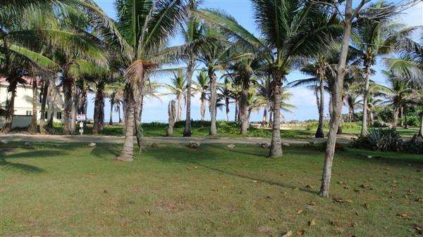 Listing ID: URE0544, Paradise Cove Trade Wind Utila, Bay Islands, HN - Ocean View Lot #12 At Trade Wind, Photo #