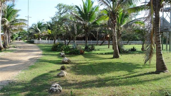 Listing ID: URE0544, Paradise Cove Trade Wind Utila, Bay Islands, HN - Ocean View Lot #12 At Trade Wind, Photo #