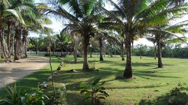 Lot Sold - Utila, Bay Islands - Listing ID: URE0545 - Photo