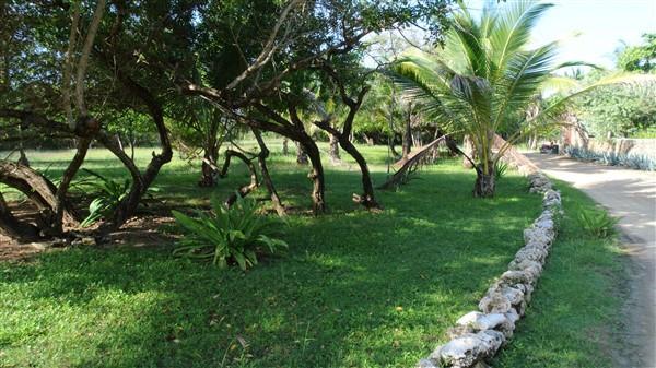 Listing ID: URE0546, Rocky Point Estates Trade Wind Utila, Bay Islands, HN - Ocean View Property At Trade Wind, Photo #