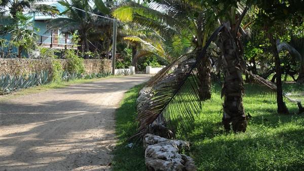 Lot Sold - Utila, Bay Islands - Listing ID: URE0546 - Photo