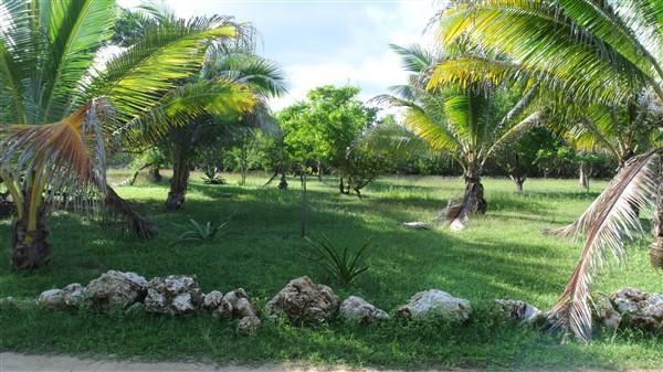 Listing ID: URE0546, Rocky Point Estates Trade Wind Utila, Bay Islands, HN - Ocean View Property At Trade Wind, Photo #