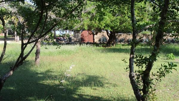 Listing ID: URE0546, Rocky Point Estates Trade Wind Utila, Bay Islands, HN - Ocean View Property At Trade Wind, Photo #