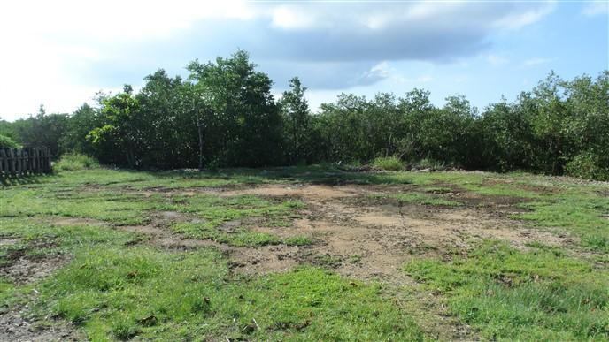 Listing ID: URE0547, Paradise Cove Trade Wind Utila, Bay Islands, HN - Trade Wind Ocean View Homesite, Photo #