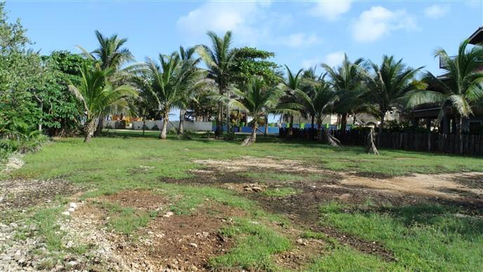 Listing ID: URE0547, Paradise Cove Trade Wind Utila, Bay Islands, HN - Trade Wind Ocean View Homesite, Photo #