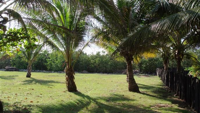 Listing ID: URE0547, Paradise Cove Trade Wind Utila, Bay Islands, HN - Trade Wind Ocean View Homesite, Photo #