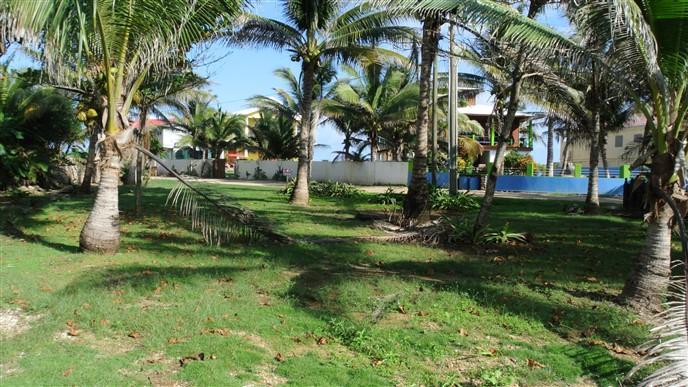 Listing ID: URE0547, Paradise Cove Trade Wind Utila, Bay Islands, HN - Trade Wind Ocean View Homesite, Photo #