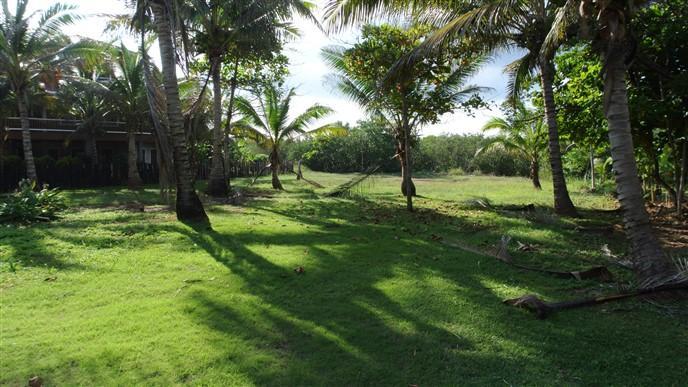 Listing ID: URE0547, Paradise Cove Trade Wind Utila, Bay Islands, HN - Trade Wind Ocean View Homesite, Photo #