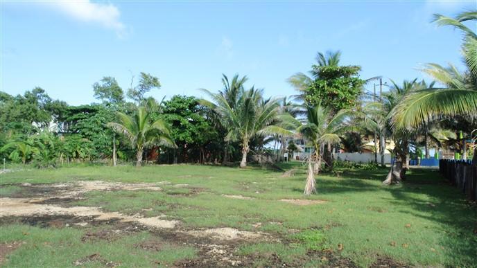 Listing ID: URE0547, Paradise Cove Trade Wind Utila, Bay Islands, HN - Trade Wind Ocean View Homesite, Photo #