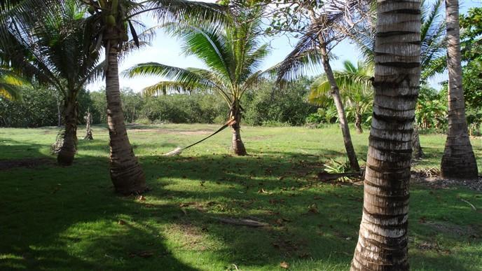 Lot Sold - Utila, Bay Islands - Listing ID: URE0547 - Photo